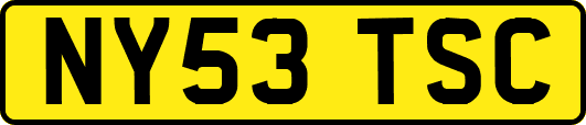 NY53TSC