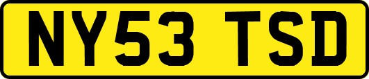 NY53TSD