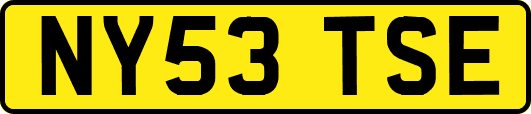 NY53TSE
