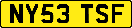 NY53TSF