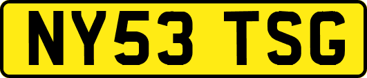 NY53TSG