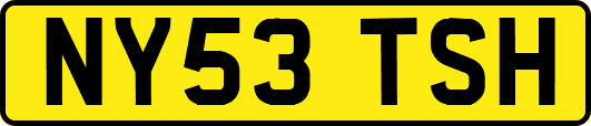 NY53TSH