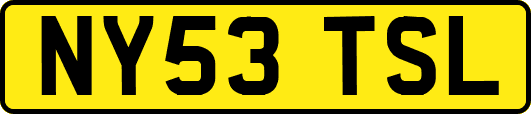NY53TSL