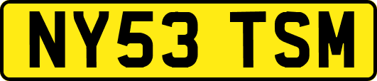 NY53TSM