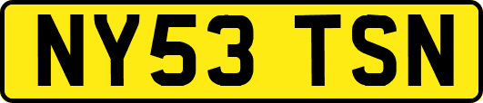 NY53TSN