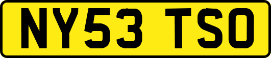 NY53TSO