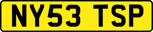 NY53TSP