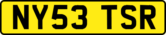NY53TSR