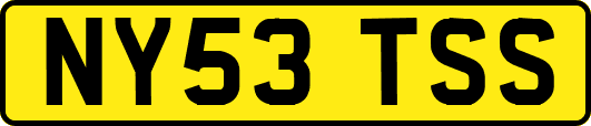 NY53TSS