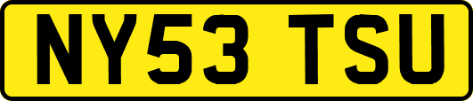 NY53TSU