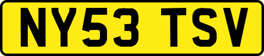 NY53TSV