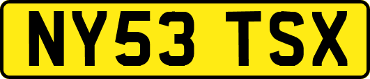 NY53TSX