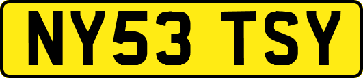NY53TSY