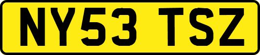 NY53TSZ