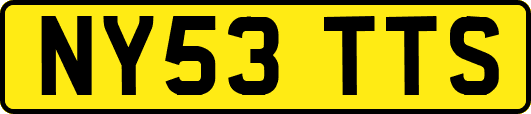 NY53TTS