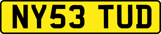 NY53TUD