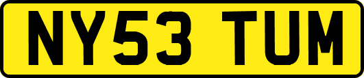 NY53TUM