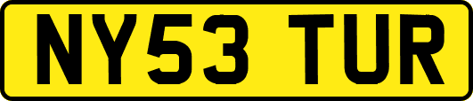 NY53TUR