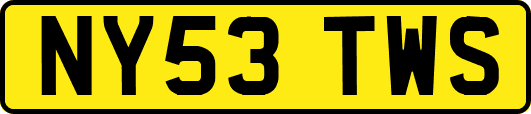 NY53TWS