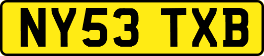 NY53TXB