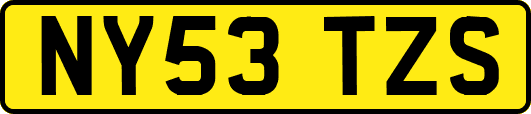 NY53TZS