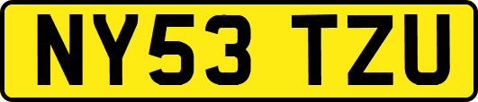 NY53TZU