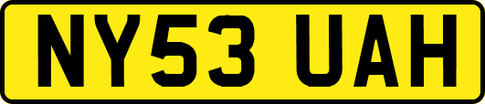 NY53UAH