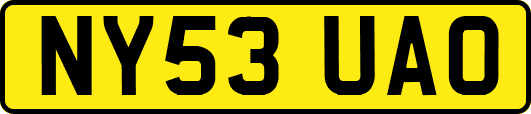NY53UAO