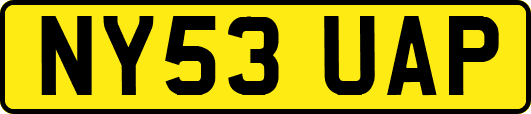 NY53UAP