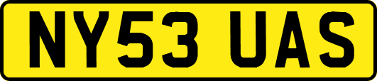NY53UAS