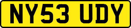 NY53UDY