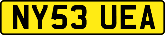 NY53UEA