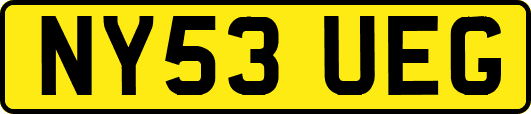 NY53UEG