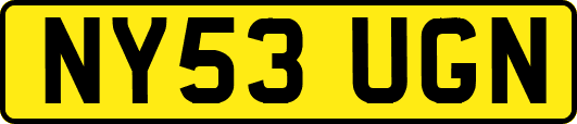 NY53UGN