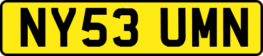 NY53UMN