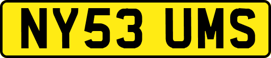 NY53UMS