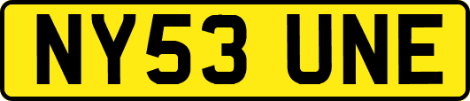 NY53UNE