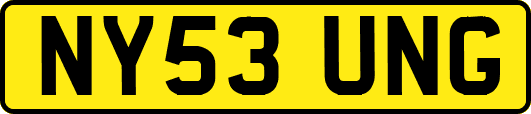 NY53UNG