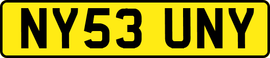 NY53UNY