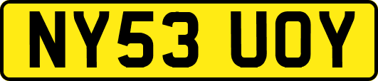 NY53UOY
