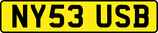NY53USB