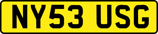 NY53USG