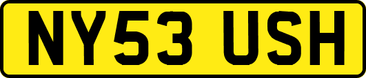 NY53USH