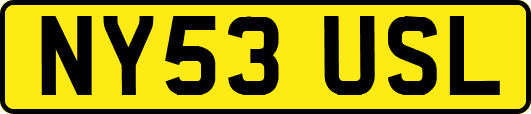 NY53USL