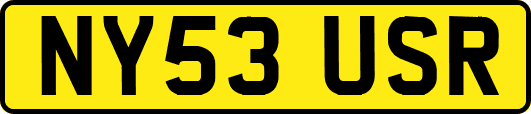 NY53USR