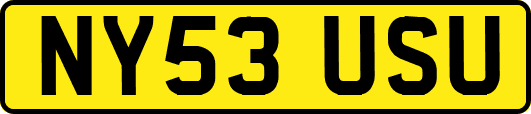 NY53USU