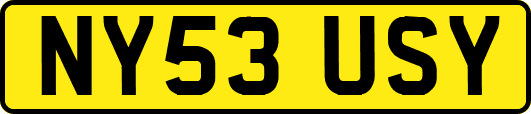 NY53USY
