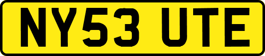 NY53UTE