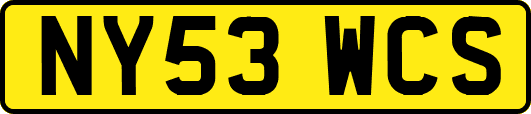 NY53WCS