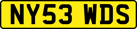 NY53WDS